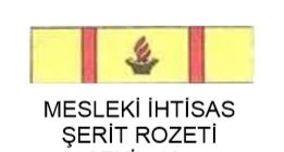 Mesleki İhtisas Şerit Rozeti ürün görseli 1