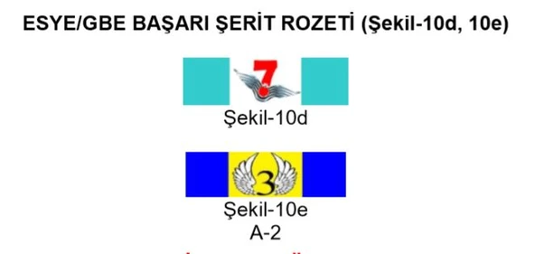 ESYE-GBE Başarı Şerit Rozeti - Resim 2