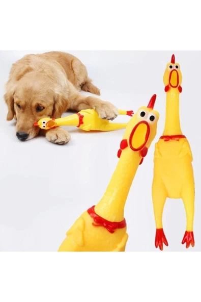 Öten Tavuk Köpek Oyuncağı Medium 30 Cm - Resim 3