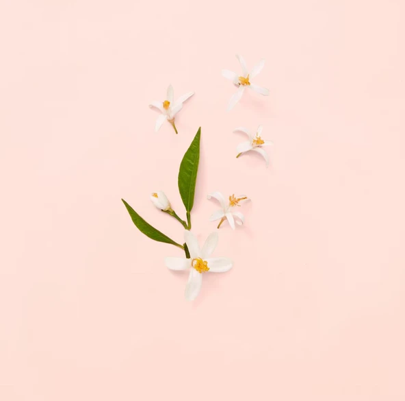 Gucci Bloom Edt 100 Ml Kadın Parfüm - Resim 4