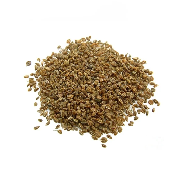 Kereviz Tohumu 100 gr (Celery Seeds) - Resim 3