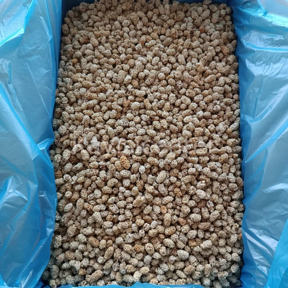 Toptan Pütürge Lüks Dut Kurusu 10 Kg - Resim 4