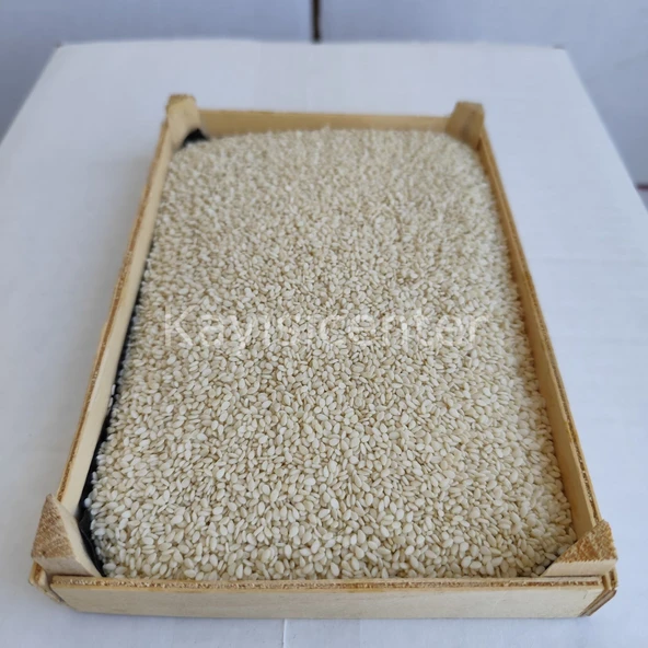 Toptan İthal Beyaz Susam 1000 Kg - Resim 4