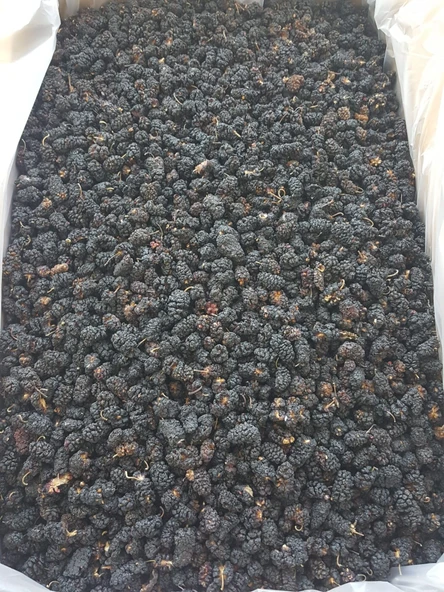 Toptan Kara Dut Kurusu 10 Kg ürün görseli 1
