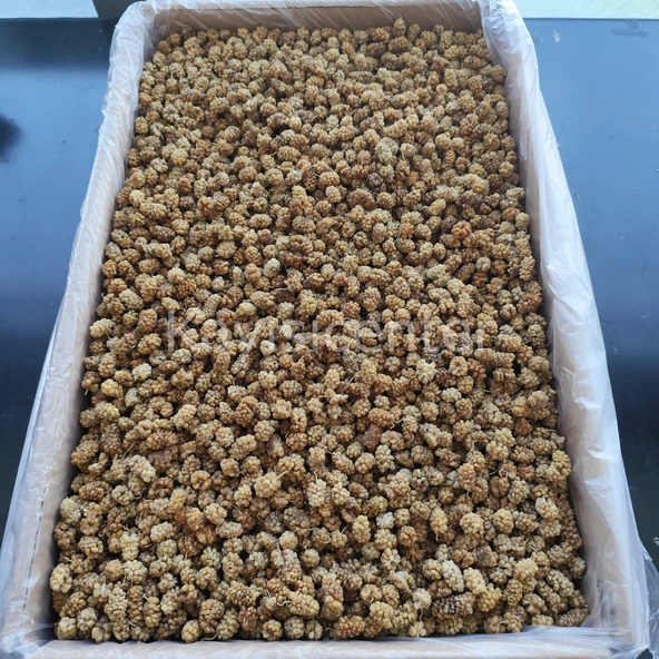 Toptan Özel Beyaz Dut Kurusu 13 KG - Resim 3