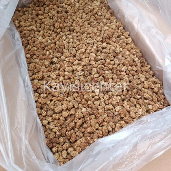 Toptan Yerli Özel Dut Kurusu 12 Kg - Resim 2