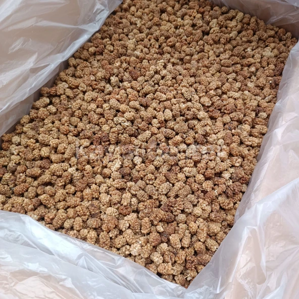 Toptan Lüks Yerli Dut Kurusu 11 Kg - Resim 5