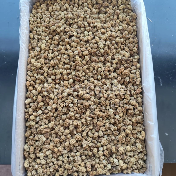 Toptan Özel Beyaz Dut Kurusu 13 KG - Resim 5