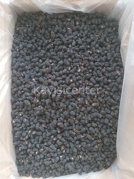 Toptan Kara Dut Kurusu 10 Kg - Resim 3