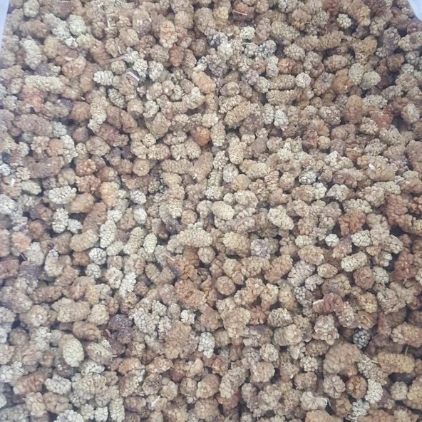 Toptan Yerli Dut Kurusu Ekonomik 12Kg - Resim 2