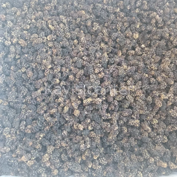 Toptan Ekonomik Karadut Kurusu 10 Kg ürün görseli 1