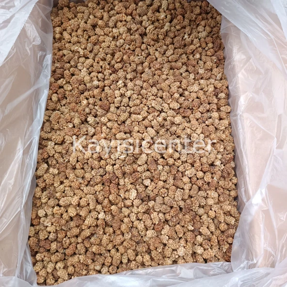 Toptan Yerli Özel Dut Kurusu 12 Kg - Resim 4