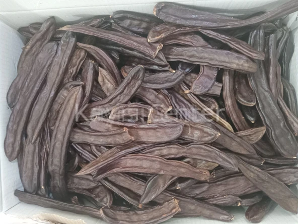 Toptan Keçi Boynuzu Meyvesi 10 Kg ürün görseli 1