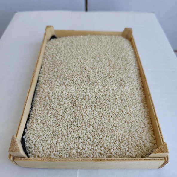 Toptan İthal Beyaz Susam 25 Kg - Resim 4