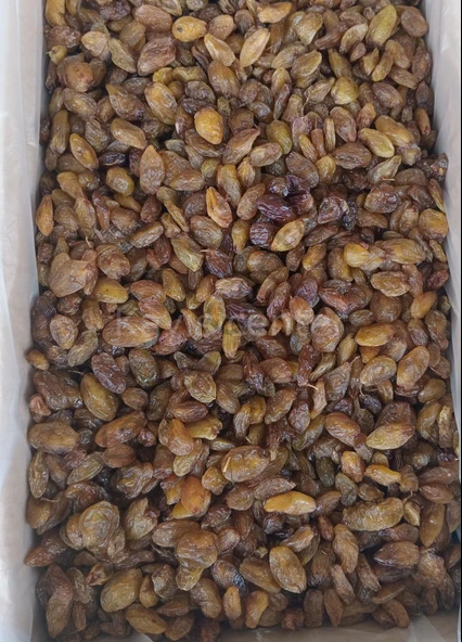 Toptan Lüks Besni Üzüm 12 Kg ürün görseli 1