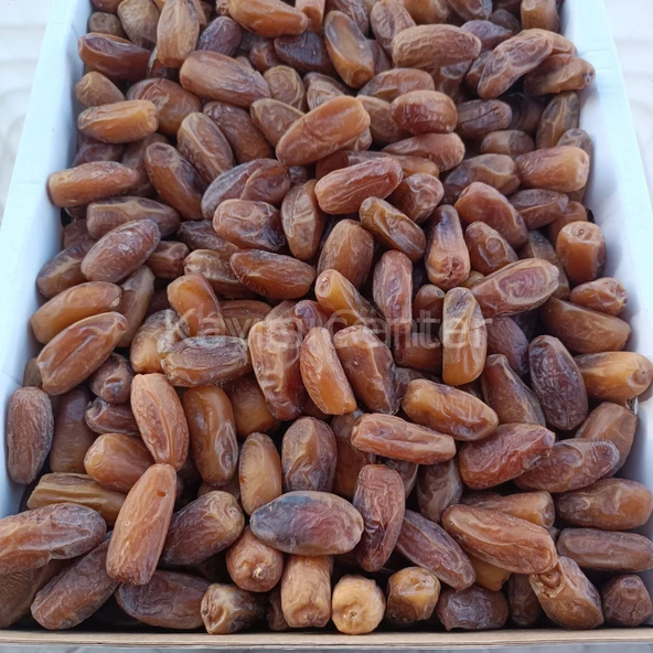 Toptan Lüks Tunus Hurma (Deglet Nour) 10 Kg ürün görseli 1