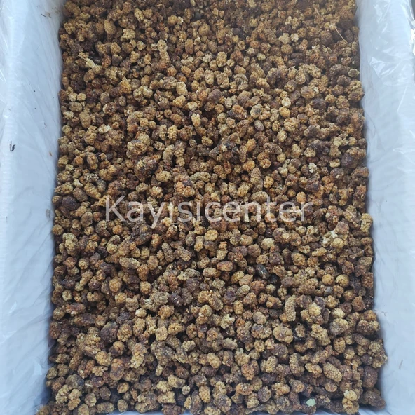 Toptan Yerli Dut Kurusu Esmer 15 Kg - Resim 5