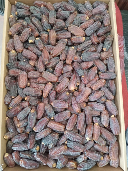 Toptan Jumbo Medine Mebrum Hurma 10 Kg ürün görseli 1