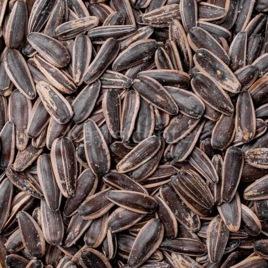 Toptan Siyah Ayçekirdeği 10 Kg Tuzsuz ürün görseli 1