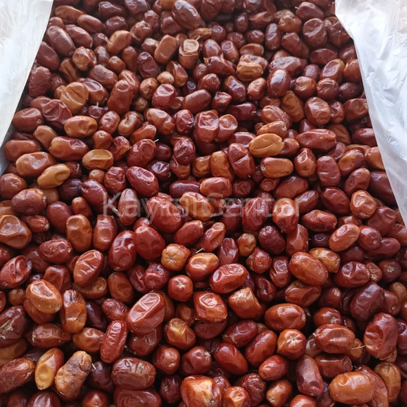 Toptan İğde Kurusu 10 Kg - Resim 4