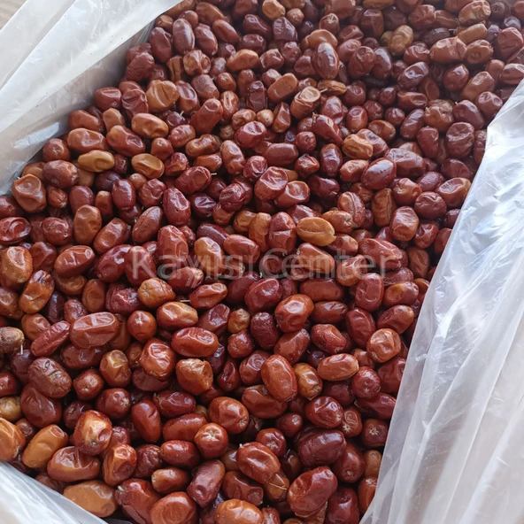 Toptan İğde Kurusu 10 Kg - Resim 5