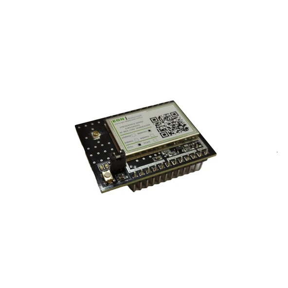 STR29CSH4 433MHz RF MCU+LoRa Transceiver Modülü (STM32WLE5x, +20dBm RF Çıkış Gücü, SAW Filtre, TCXO, RF Ekran, U.FL RF Konnektör) ürün görseli 1
