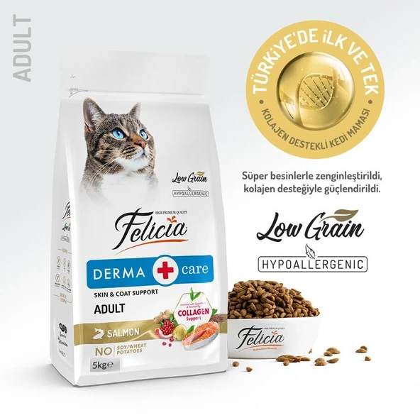 Felicia Somonlu Yetişkin Kedi Mamamsı 5 Kg ürün görseli 1