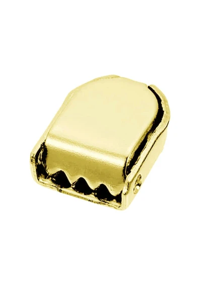 Gold Altın Renk Metal Ayakkabı Bağcık Ucu Klipsi 30 Adet ürün görseli 1