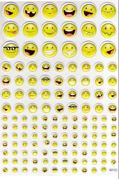 Sticker Kabartmalı A4 Boyutunda Stiker Defter, Planlayıcı Etiket-(lim543) - Komik Gülenyüz ürün görseli 1