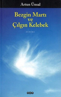 Bezgin Martı ve Çılgın Kelebek Artun Ünsal Yapı Kredi Yayınları ürün görseli 1