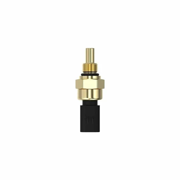 MÜŞÜR DZ123024 - Resim 5