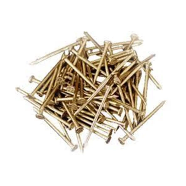 Başlı Tel Çivi 25mm 450gr Paket ürün görseli 1
