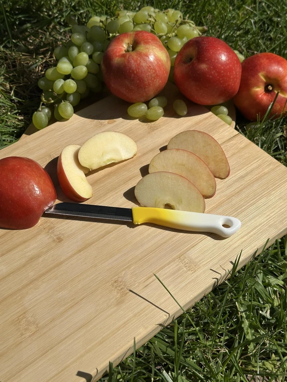 Solingen Ebruli Sarı Tırtıklı Meyve Bıçağı – 18,5 cm, Paslanmaz Alman Çeliği, Ergonomik Sap (Tekli) ürün görseli 1