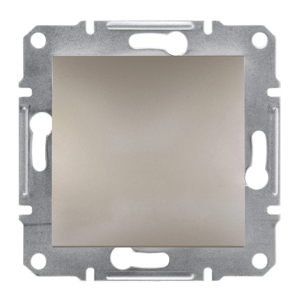 Schneider Electric EPH5600169 Asfora Bronz Kör Kapak ürün görseli 1