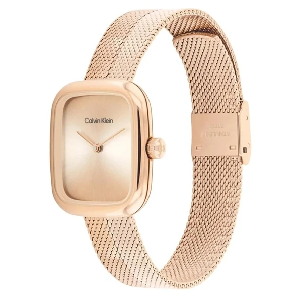 Calvin Klein CK25100101 Kadın Kol Saati - Resim 2