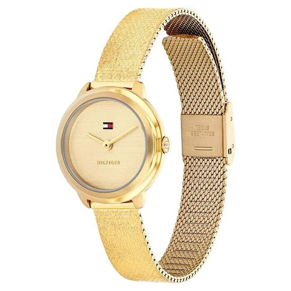 TOMMY HILFIGER TH1782811 - Resim 2
