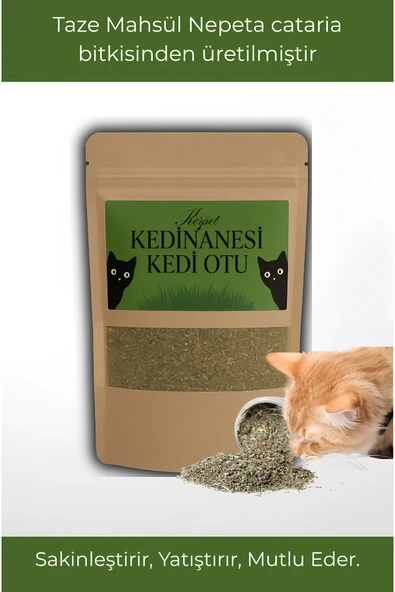 KorPet Doğal Orjinal Kedi Nanesi Catnip Kurutulmuş kedi otu Taze Mahsül 20 gr ürün görseli 1