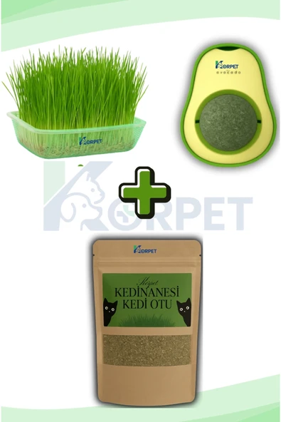 KorPet Doğal 3’lü Kedi Keyif Seti | Kedi Çimi + Catnip + Avokado | Orjinal 3'lü DOLU DOLU set ürün görseli 1