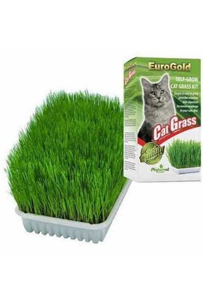 EuroGold Cat Grass Kedi Çimi - Petshopundan ürün görseli 1