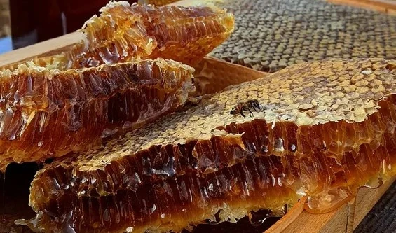 Saka Bal(Karakovan Balı) ürün görseli 1