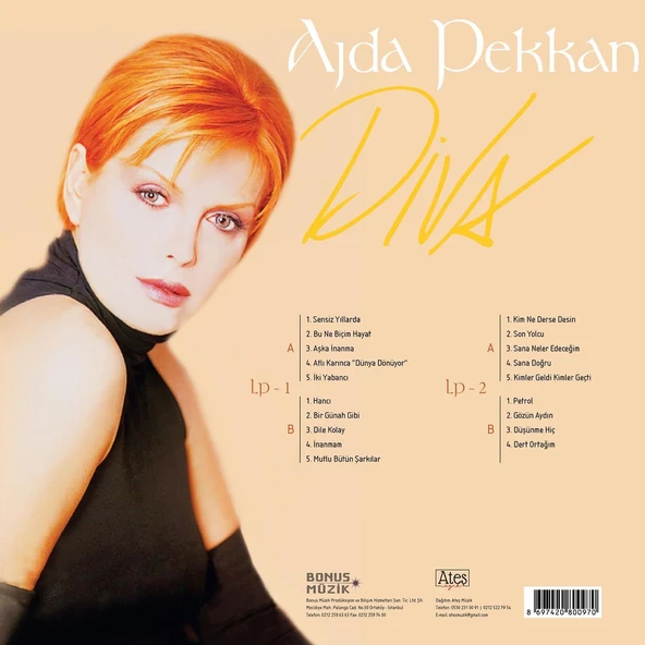 Ajda Pekkan Diva - 2 Plak ürün görseli 1
