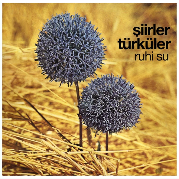 Ruhi Su Şiirler ve Türküler - Plak ürün görseli 1