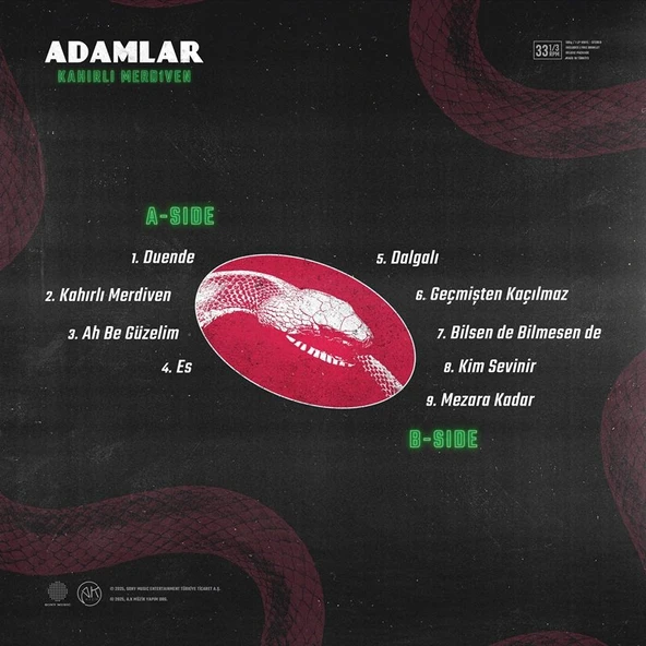 Adamlar Kahırlı Merdivenler - Plak - Resim 2