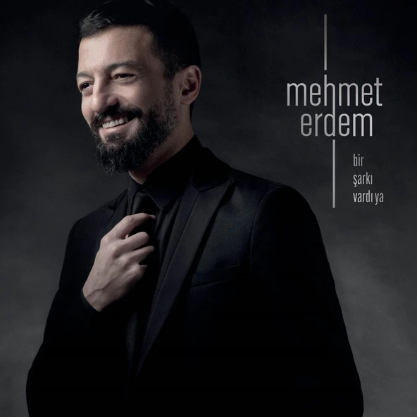 Mehmet Erdem Bir Şarkı Vardı Ya - Plak ürün görseli 1