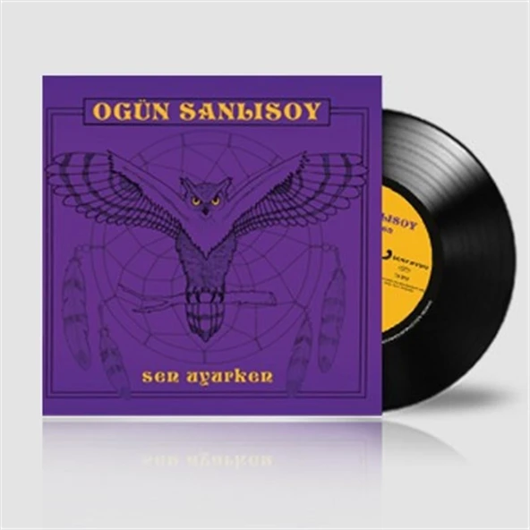 Ogün Sanlısoy Sen Uyurken - Plak ürün görseli 1