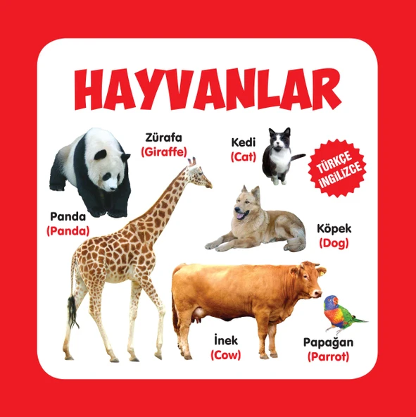 Hayvanlar Türkçe-İngilizce ürün görseli 1
