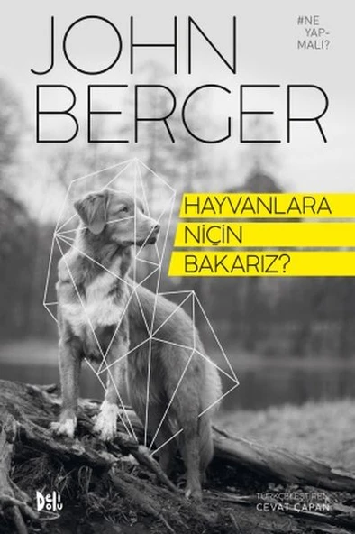 Hayvanlara Niçin Bakarız? ürün görseli 1