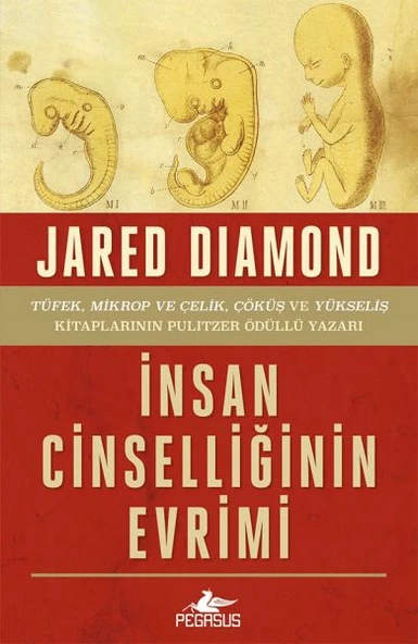 İnsan Cinselliğinin Evrimi - Ciltsiz ürün görseli 1