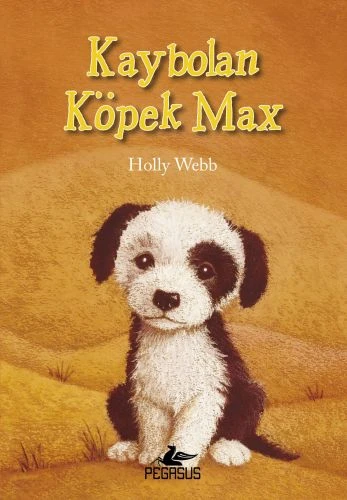 Kaybolan Köpek Max ürün görseli 1