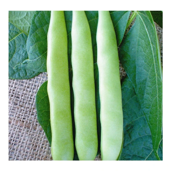 Arzuman Fasulye (SİMBO) 50 Gram ürün görseli 1